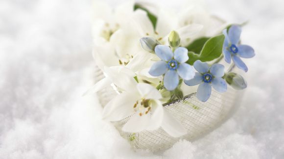 扬州东花园属于什么路