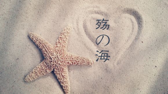 手机新电池怎么保养